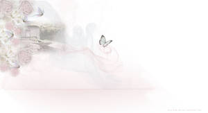 Butterfly Premade Background