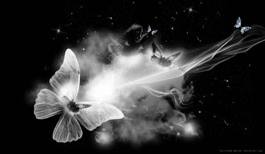 BUTTERFLY PREMADE BACKGROUND