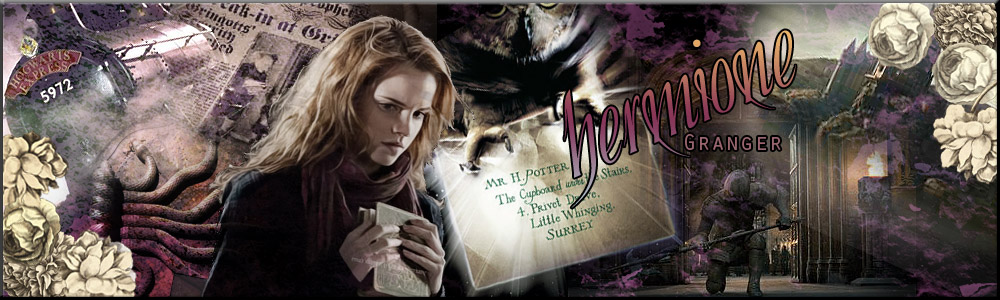 HERMIONE GRANGER BANNER