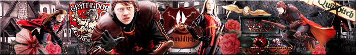 Quidditch Banner