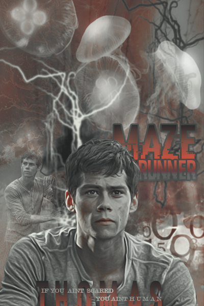 Thomas Maze Runner Vertical Blend