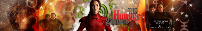 Hunger Games Banner