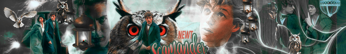 Newt Scamander Fantastic Beasts Banner