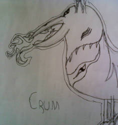 crum 2