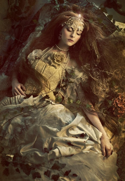Sleeping Beauty by Widmanska