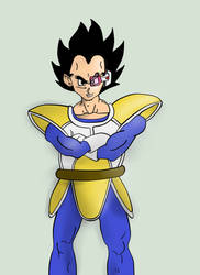 Vegeta, Saiyn Armor.