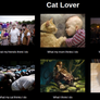 Cat Lover meme - what i really do
