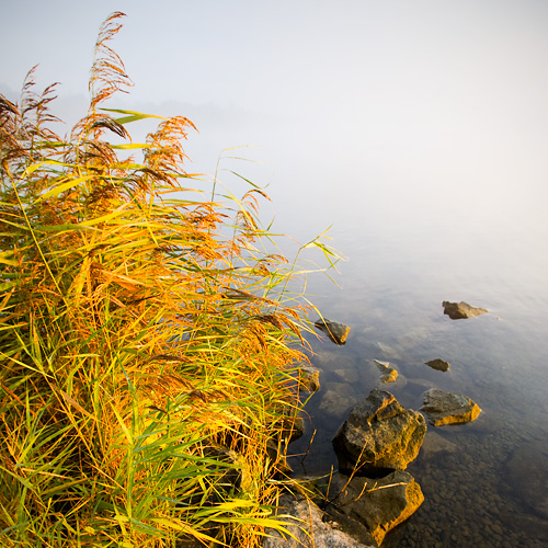 Colors of autumn