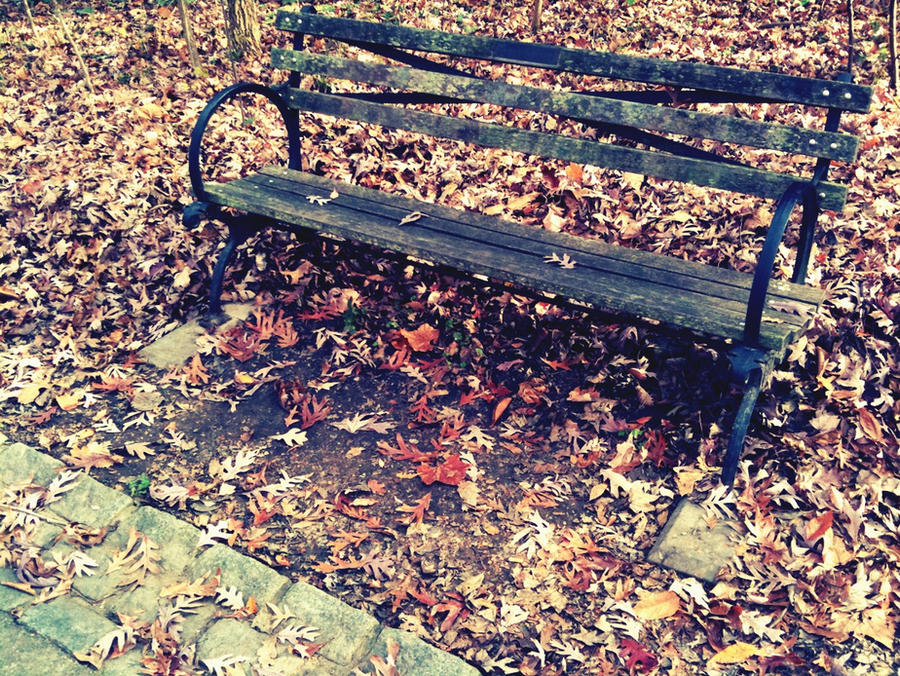 Bench Tumblr Bench by Tatsuya on DeviantArt