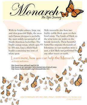 Monarch Butterfly