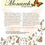 Monarch Butterfly