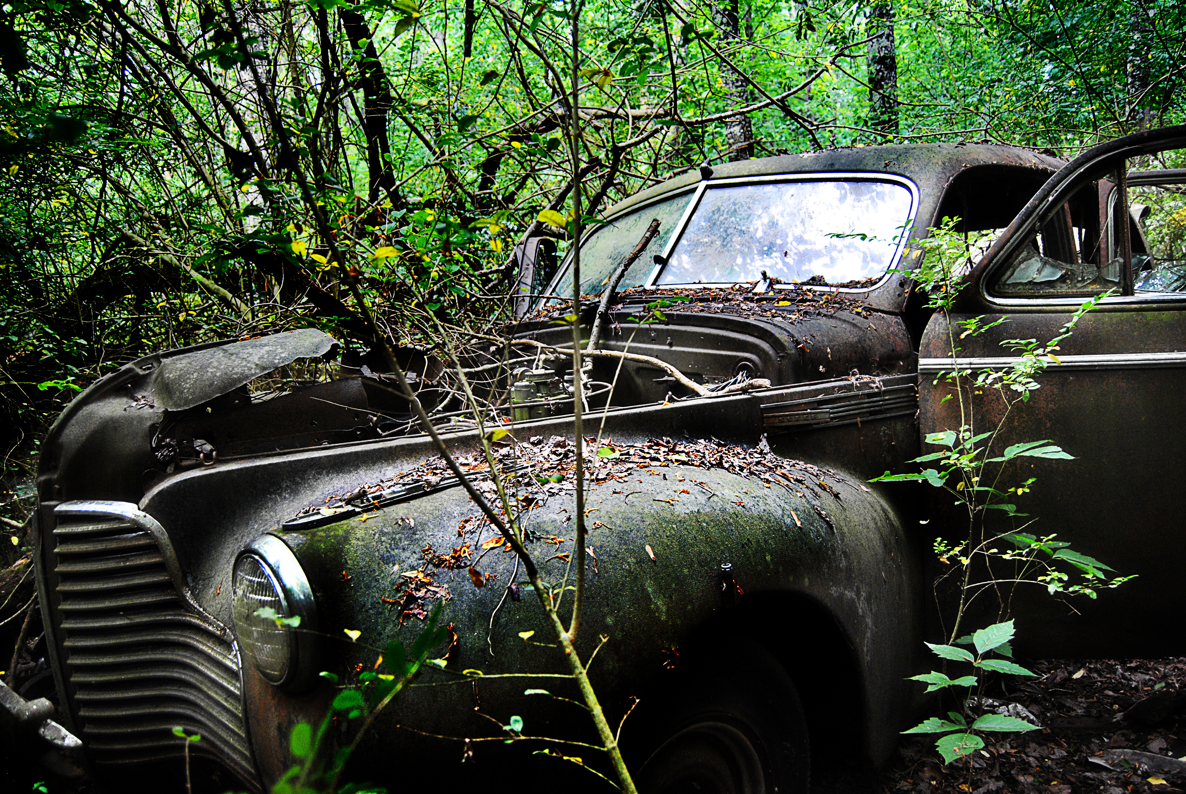 Old Buick