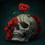 Skull in red poppies