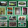 wimbledon is ...