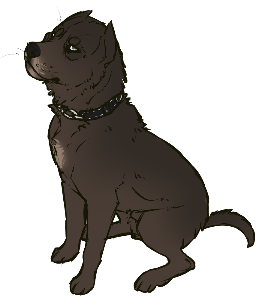 Anarchy by Kayxer on DeviantArt