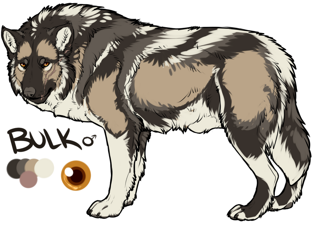 Bulk Reference Bulk Reference by Kayxer on DeviantArt
