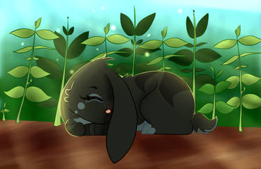 Garden Nap