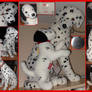 Douglas cuddle  101 dalmatians Perdy  and pup