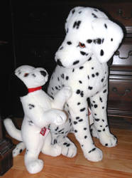 Douglas co plush limited Perdy and pup 1996 offer