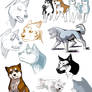 Ginga Doodle Dump