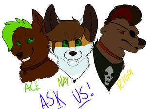 Ask Ace, Nay, and Rigg