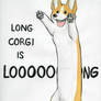 LONG CORGI