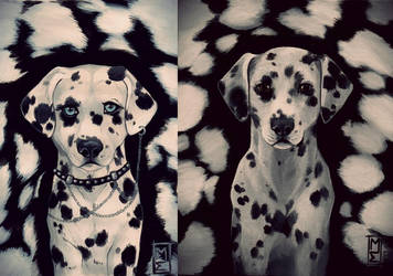 Dalmatian remake