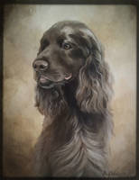 Dog portrait with acrylics