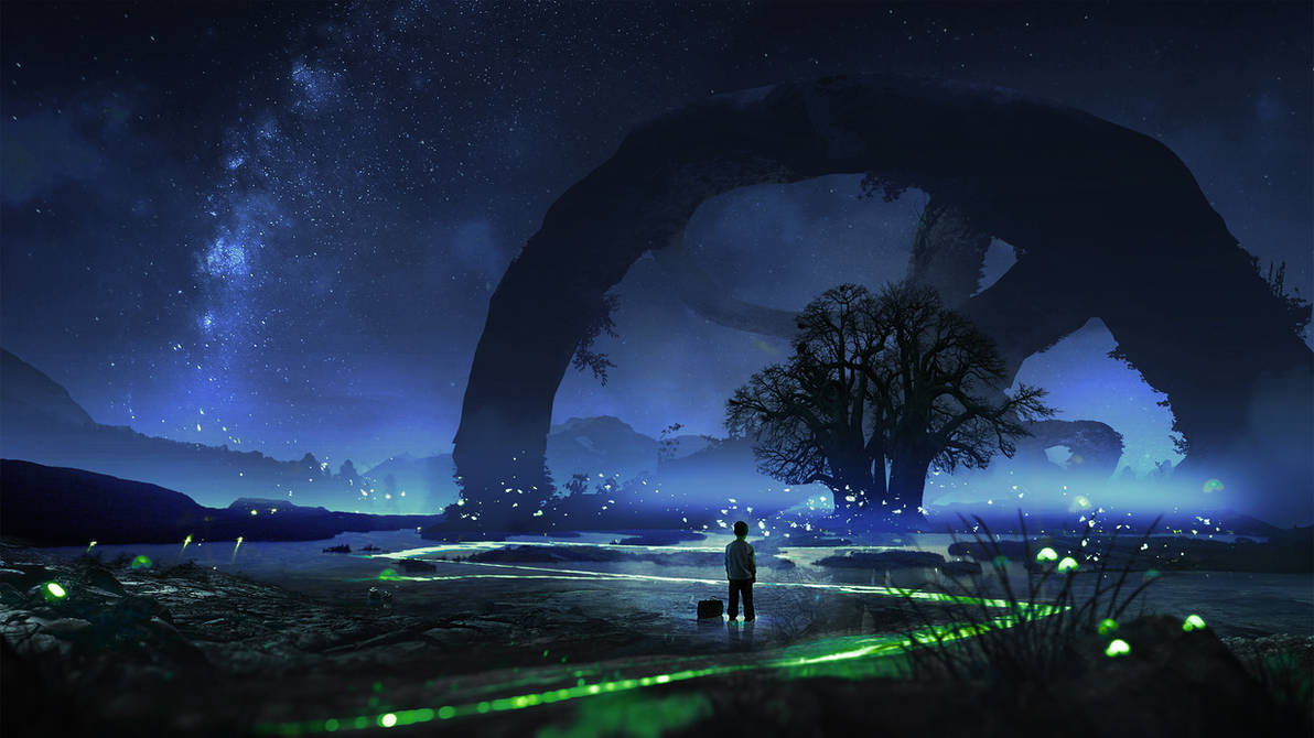 Fireflies by t1na Fireflies by t1na