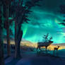 Tranquil