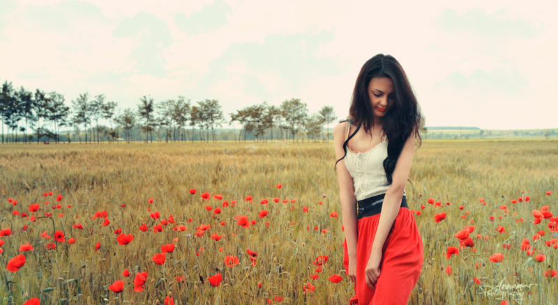 The Girl and the Poppies