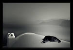 hard dog's life by MihaEla-Cojocariu