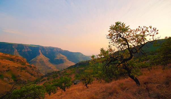 Injasuti Valley, Drakensberg, South Africa