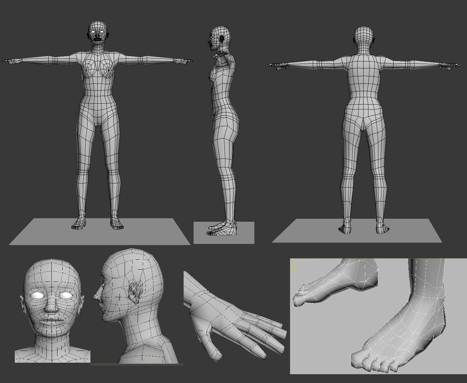 human body wireframe