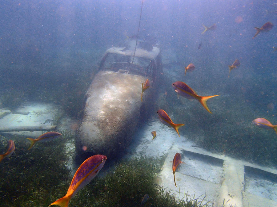 Sunken Plane