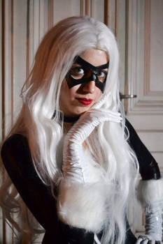 black cat- spider man