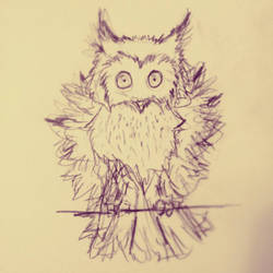 The unsettled owl