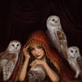 Witch and 3 owls