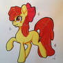 Apple Bloom