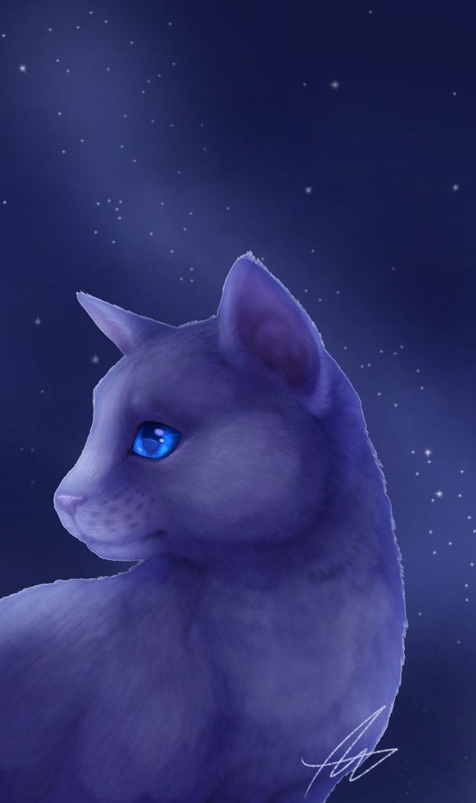 Star Cat Color Star Cat by Inspiration1413 on DeviantArt