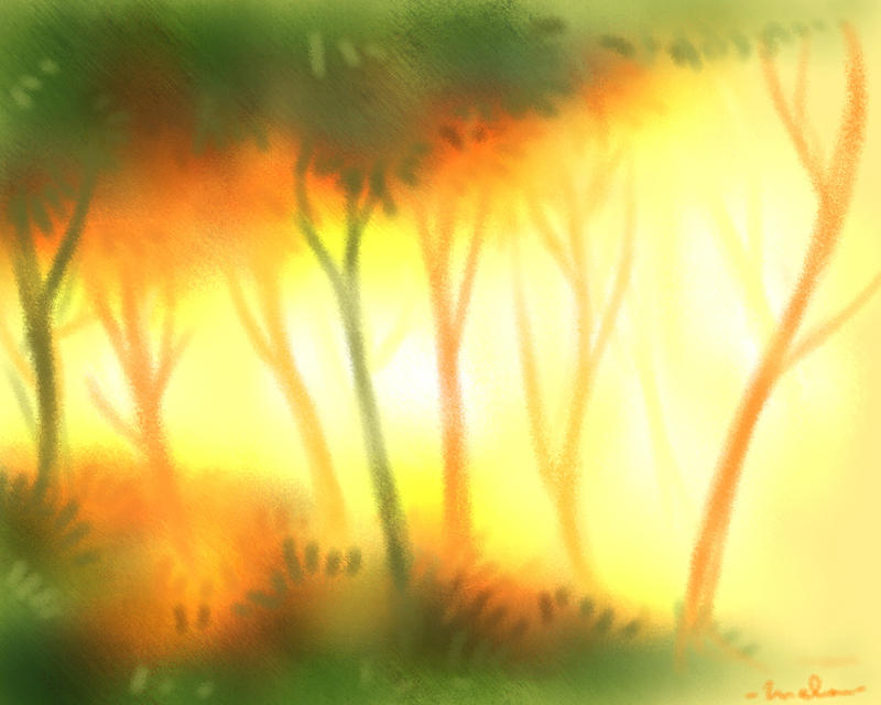 Background practice: forest