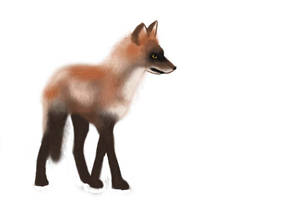 DA Red Fox