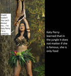 Katy Perry Vore 01