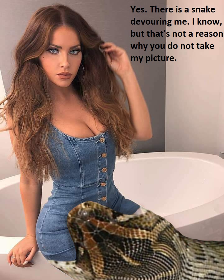 Snake vore by zenutrio on DeviantArt