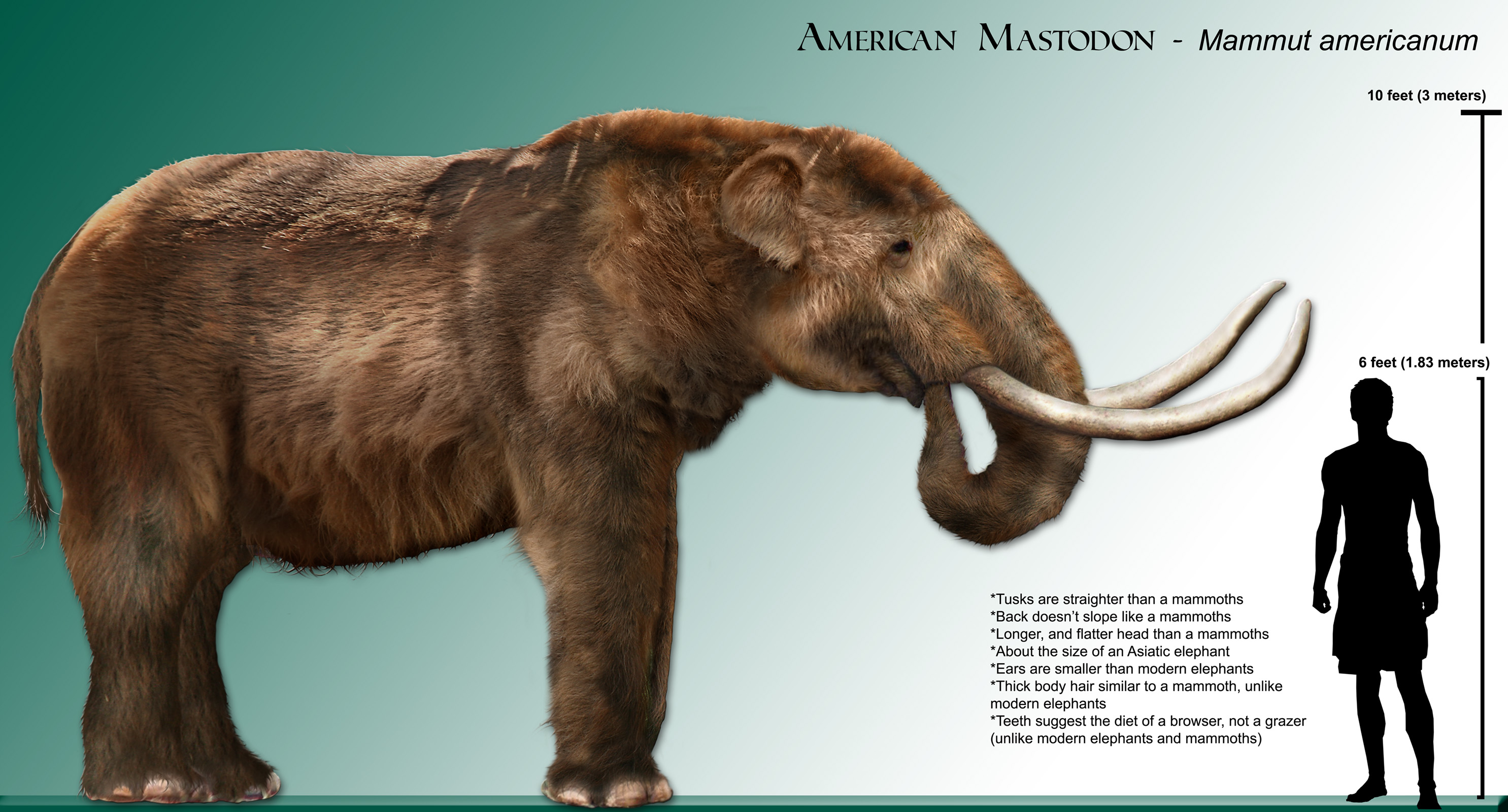 Updated mastodon