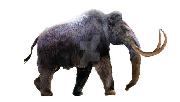 Woolly Mammoth - WIP