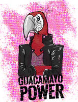 Guacamayo Power