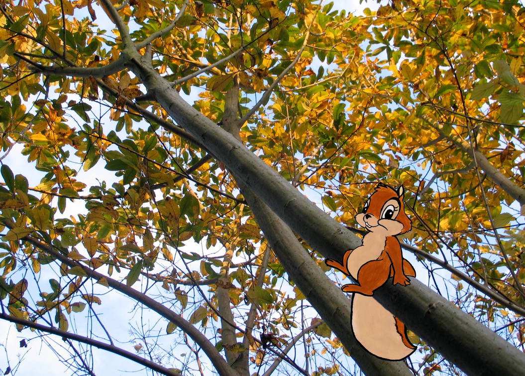 Tree Cartoon Boo Boo on autumnal tree by Kapuschati on DeviantArt