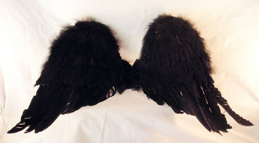 FREE STOCK, Gothic Wings 1