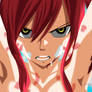 Erza - Fairy Tail 482